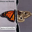 Moths And Butterflies Albumcover