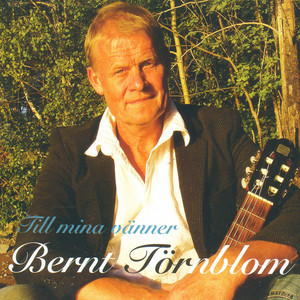 Till mina vänner Albumcover