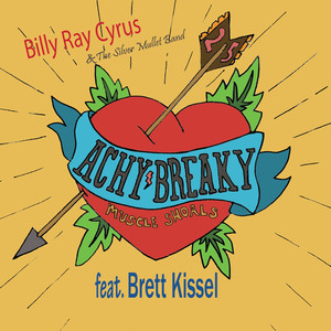 Achy Breaky Heart cover