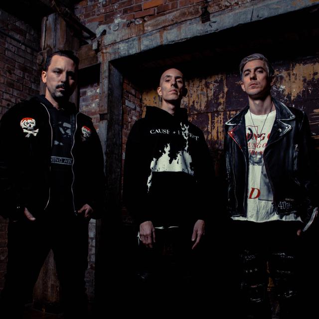 Dub Trio photo