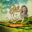 The Irish Collection (Special Extended Remastered Edition) cover