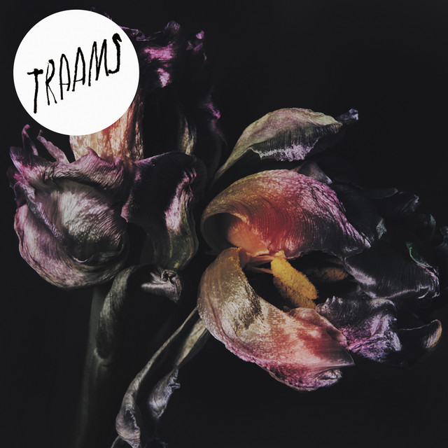 Ladders cover