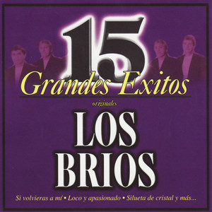 15 Grandes Éxitos Albumcover