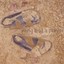 Walkin' In My Shoes Albumcover