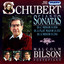 Schubert: Piano Sonatas, Vol. 7: Nos. 5, 14 and 19 Albumcover