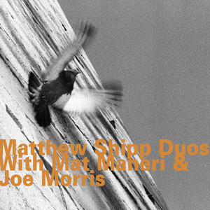 Matthew Shipp Duos with Mat Maneri & Joe Morris album
