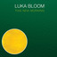 Luka Bloom - The ride