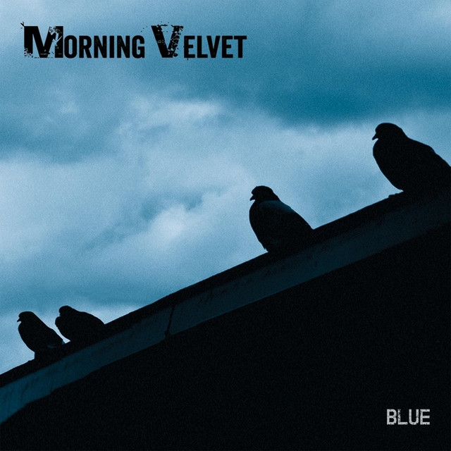 Velvet Morning Photo