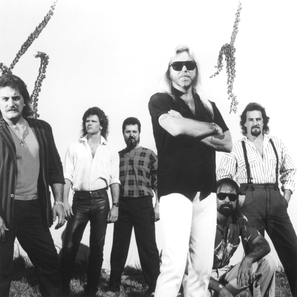 The Gregg Allman Band image