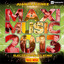 Maxi-Music cover
