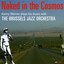 Naked In the Cosmos Albumcover