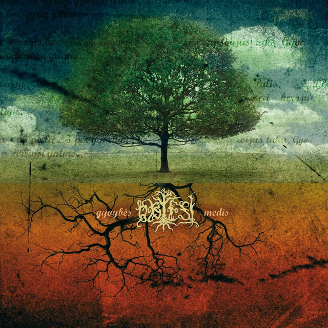 Gyvybès Medis cover