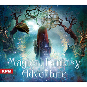 Magical Fantasy Adventure album