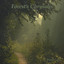 Forest's Chrysalis Albumcover