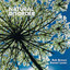 Natural disorder Albumcover
