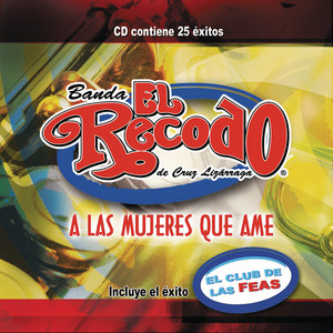 Hola mi amor cover