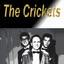 The Crickets cover