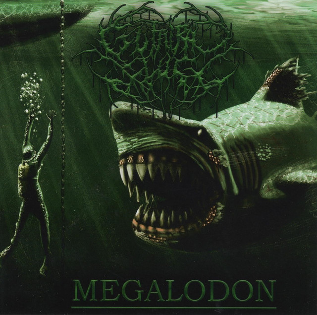 Megalodon cover