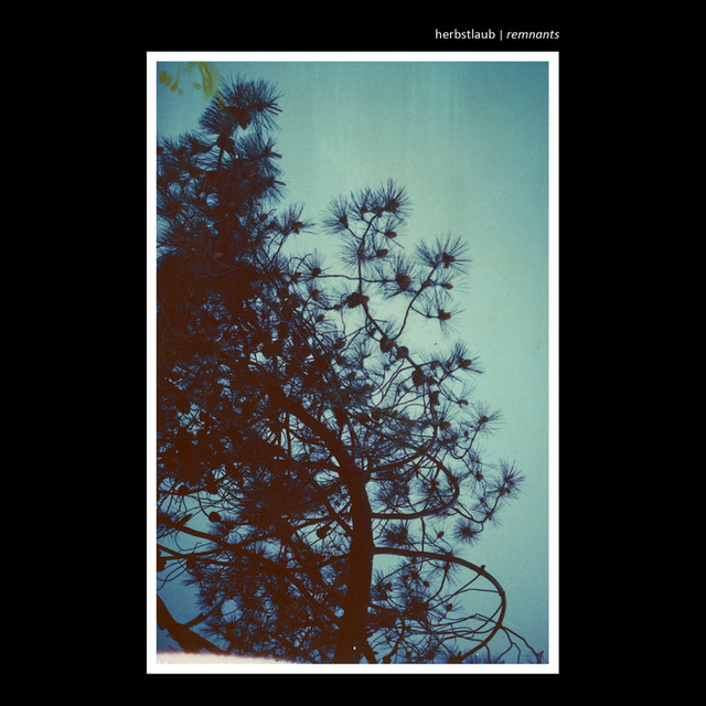 Herbstlaub Photo