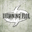 Drowning Pool cover