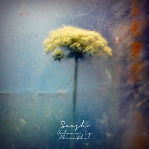 For You cover