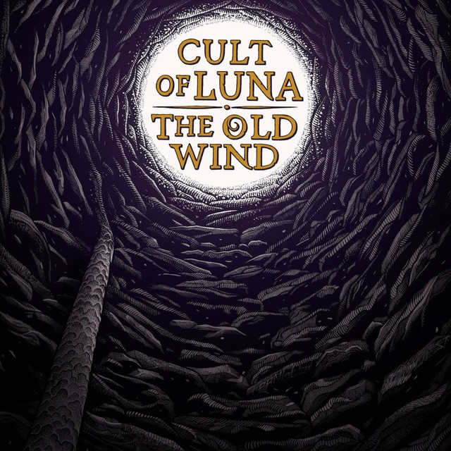 The Old Wind Photo