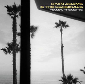 Follow the Lights album