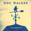 Weathervane cover