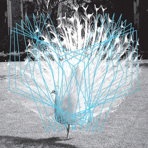 Valerio Tricoli & Thomas Ankersmit