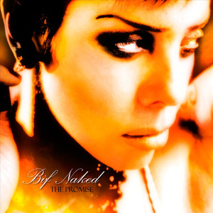 The Promise cover