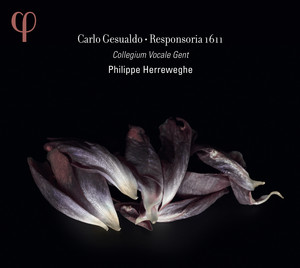 Gesualdo cover