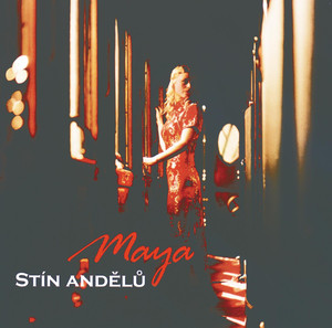 Stín andělů cover