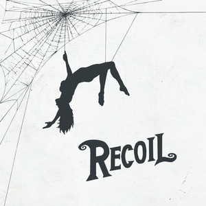 Recoil cover