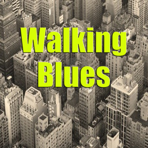 Walking Blues album