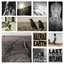 The Last of the Outlaws cover