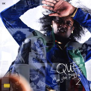 Can You Digg It 2 album
