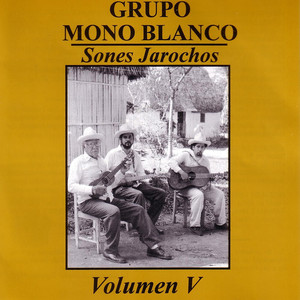 Sones jarochos cover