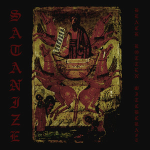 Decimation Division cover