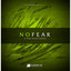 No Fear Albumcover