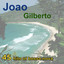 45 hits of bossa-nova cover