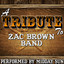 A Tribute to Zac Brown Band Albumcover
