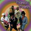 Permanent Press & More Albumcover