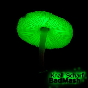 Knall Scharf