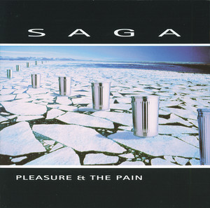 Pleasure And The Pain cover