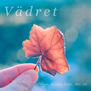 V&auml;dret