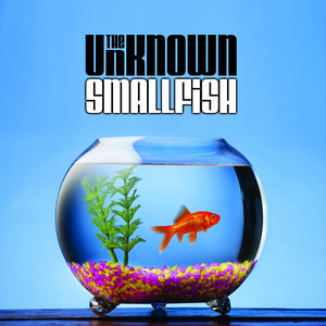 Small Fish cover