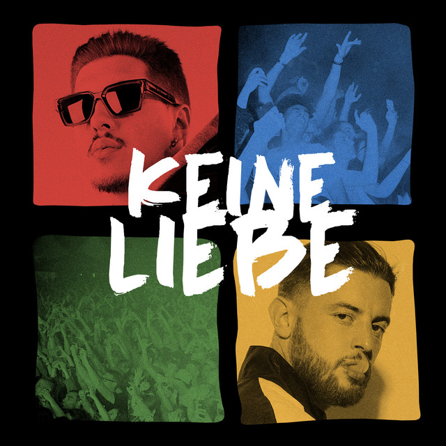 Keine Liebe cover