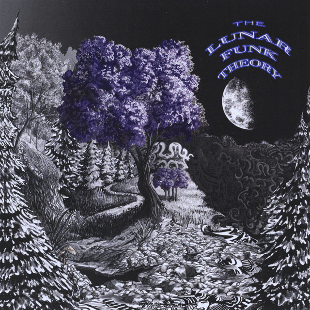 Lunar Funk Theory Photo