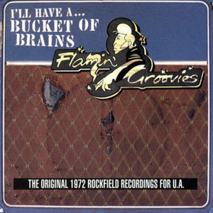 A Bucket Of Brains cover