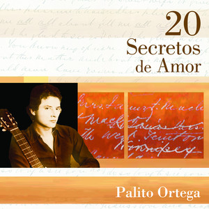 20 Secretos de Amor - Palito Ortega Albumcover